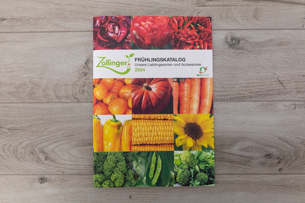 Spring catalog 2024 (German)